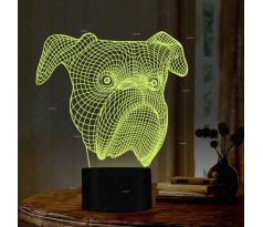 Beling 3D lampa, Anglický bull dog hlava , 7 barevná S4ASC13