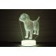 Beling 3D lampa, Labrador , 7 barevná S42QASTA